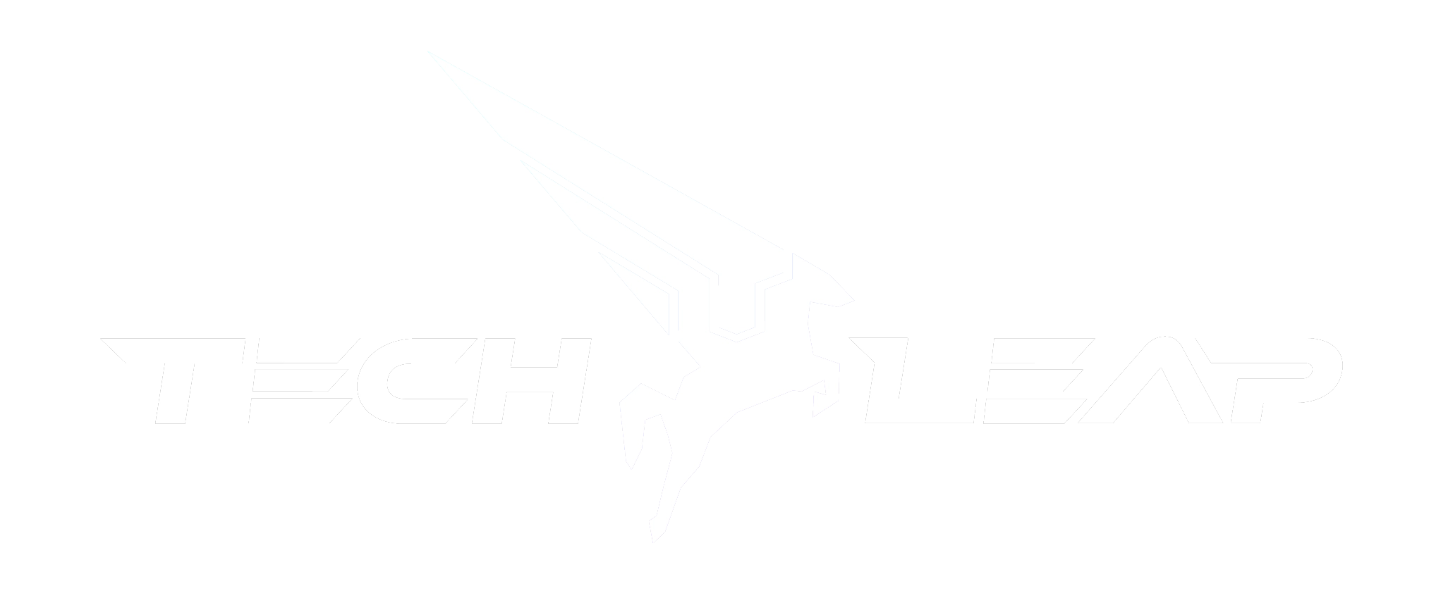 テックリープカンパニー
